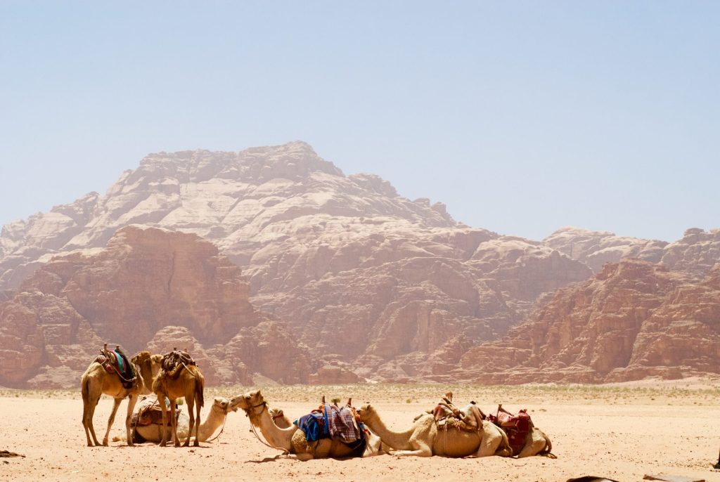 Super Safari Hurghada desert adventure