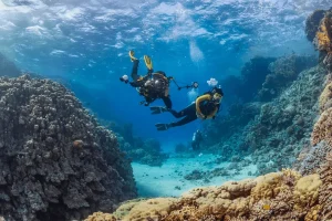 Discover Scuba Diving in Hurghada 2026 – Beginner Red Sea Experience (No Experience Required)