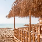 Gallery Thumbnail 11