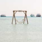 Gallery Thumbnail 12