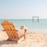 Gallery Thumbnail 13