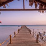 Gallery Thumbnail 14