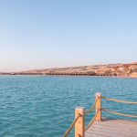 Gallery Thumbnail 15