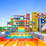 Gallery Thumbnail 12