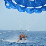 Gallery Thumbnail 12