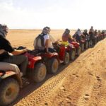 Gallery Thumbnail 11