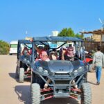 Gallery Thumbnail 12