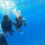 Gallery Thumbnail 12