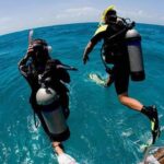 Gallery Thumbnail 11