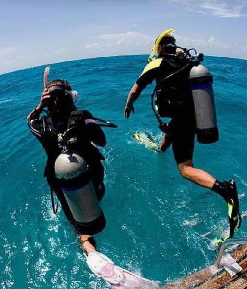 Zwei Tauchteilnehmer mit Ausrüstung beim Einstieg ins Meer