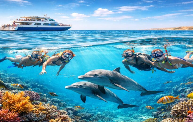 Dolphin House Snorkeling Trip Hurghada – 7 Hour Ultimate Red Sea Adventure