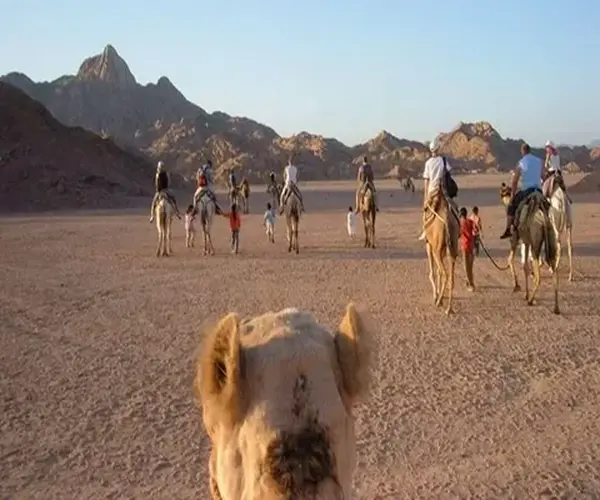 Super Safari as one of the Hurghada Excursions for Non-Swimmers