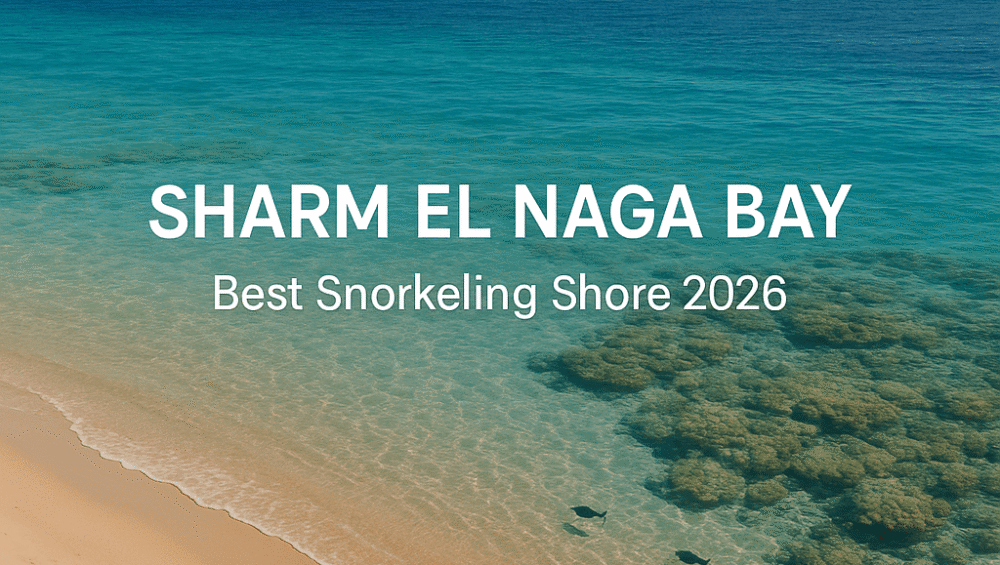 23. Sharm El Naga Bay: Best Snorkeling Shore 2026