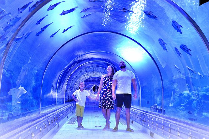 Hurghada Grand Aquarium Highlights