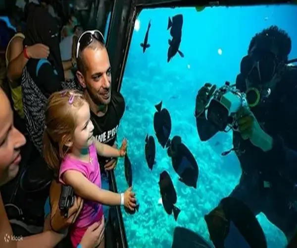 Scuba and Red Sea activity during Hurghada Weather in April
