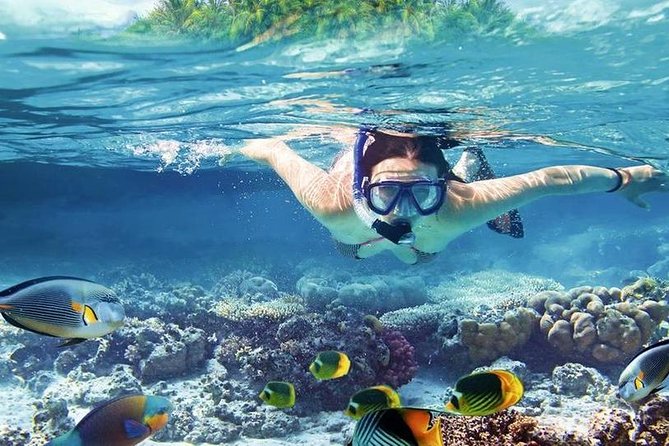 Best snorkeling in Hurghada 2026 Red Sea coral reefs