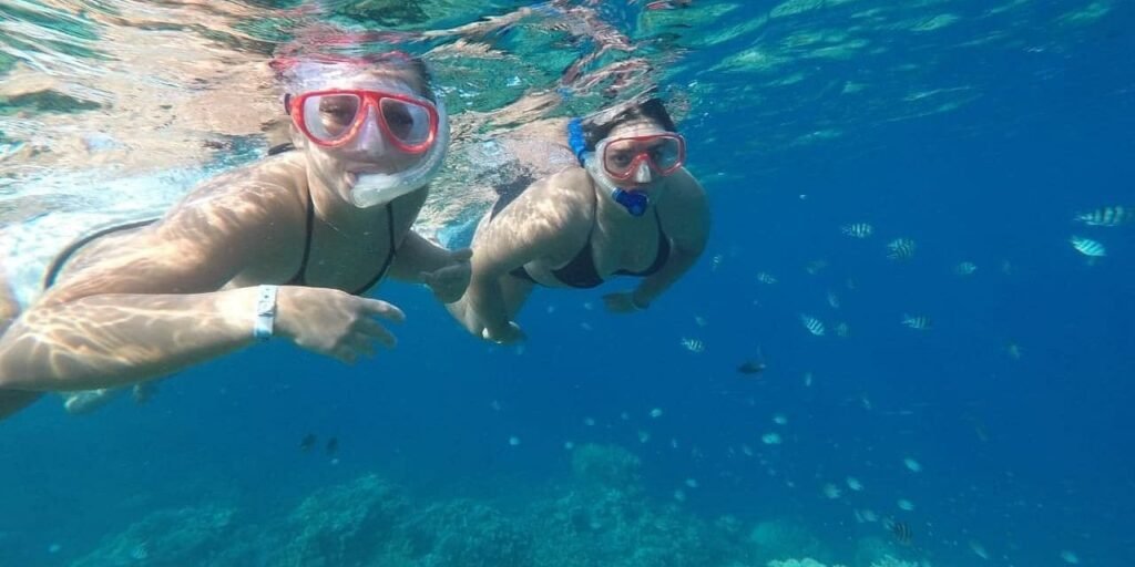 Two snorkelers wearing masks at the surface
