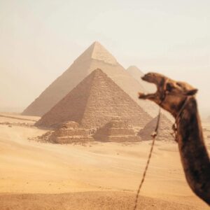 Giza pyramids near Grand Egyptian Museum 2026