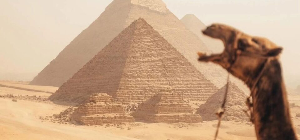 Giza pyramids near Grand Egyptian Museum 2026