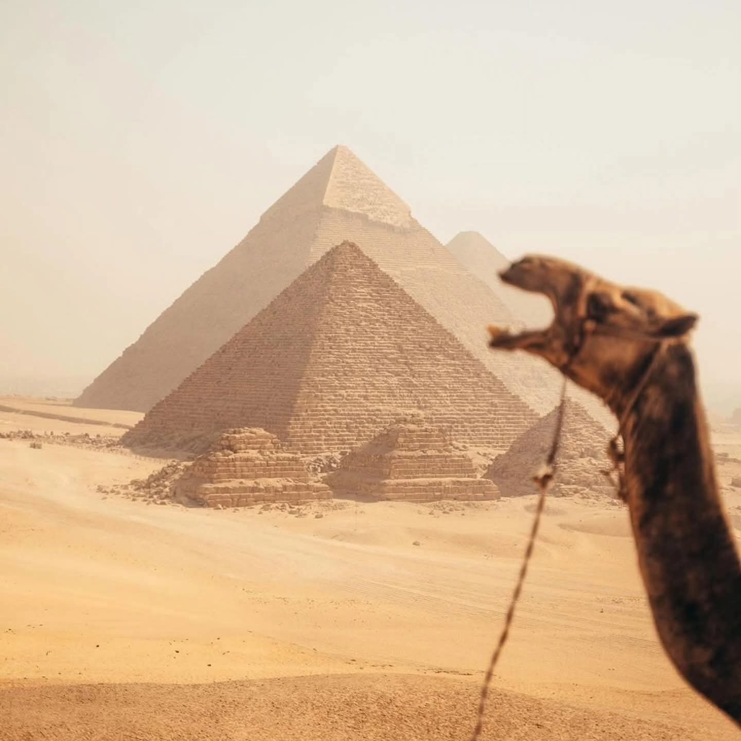 Giza Pyramids near GEM on a Cairo tour from Hurghada