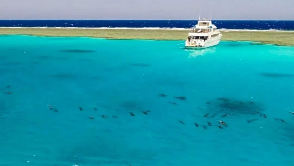 How to book tours in Hurghada 2026