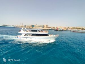 VIP Dolphin House Hurghada boat tour