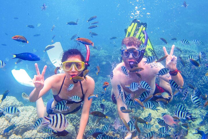 Half Day Snorkeling Hurghada