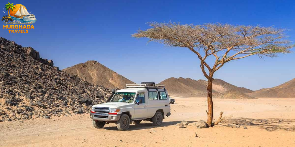 super safari hurghada