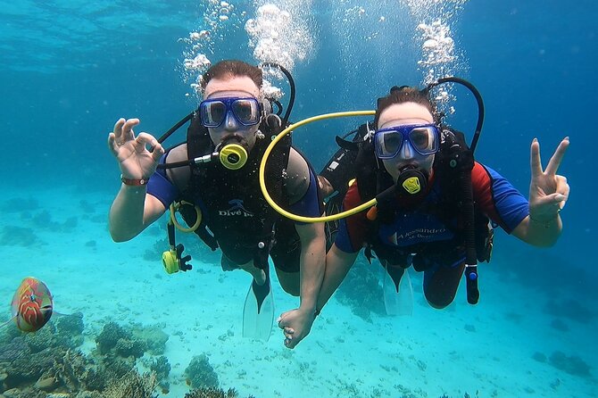 Half Day Snorkeling Hurghada