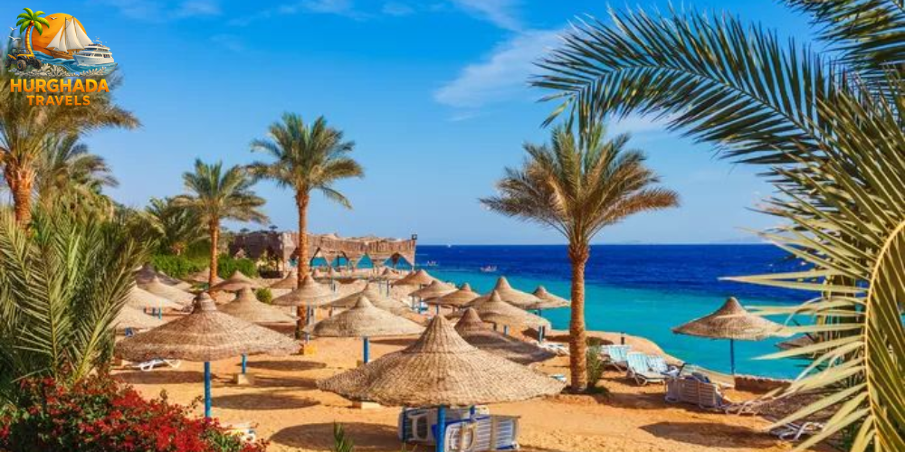 tours from hurghada