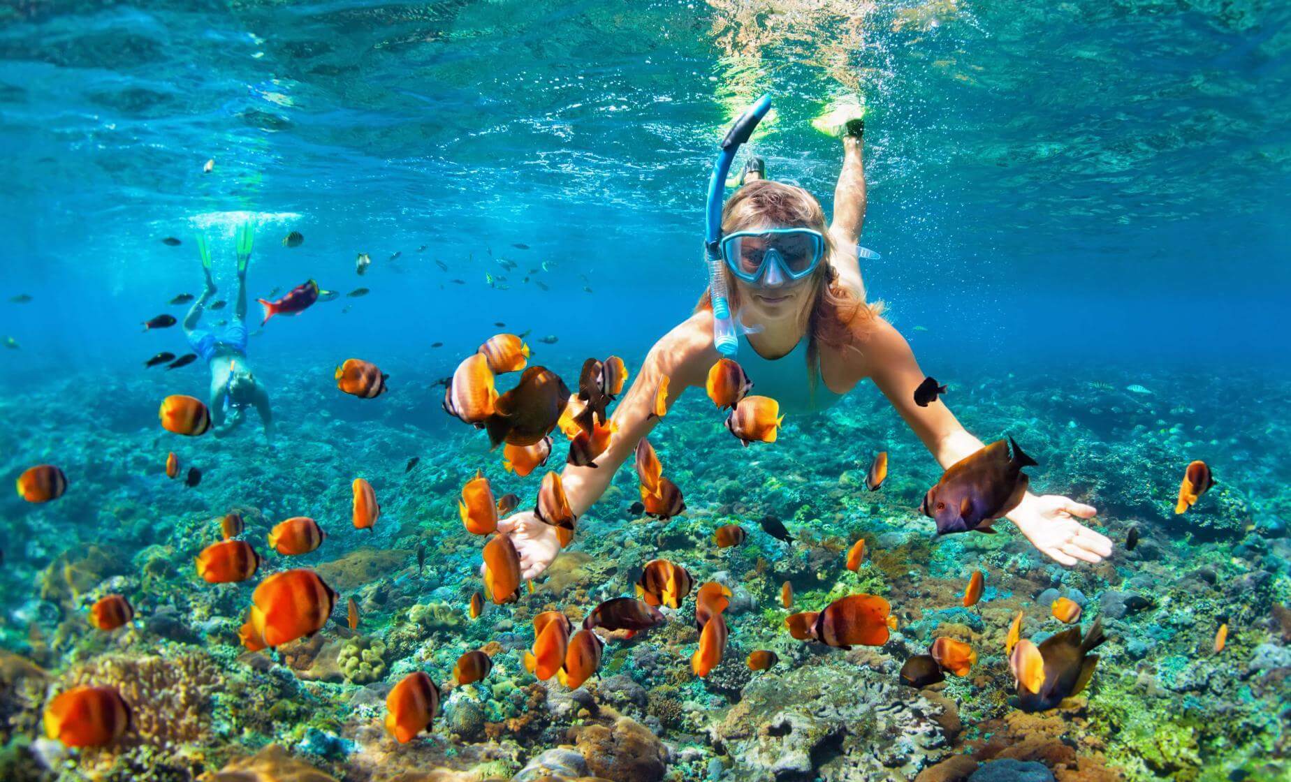 Half Day Snorkeling Hurghada