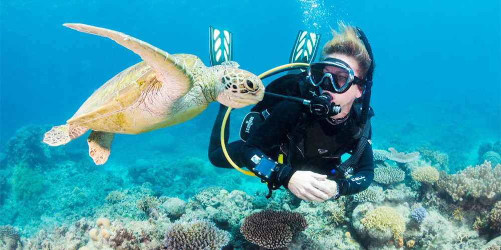 Best Hurghada Snorkeling Season