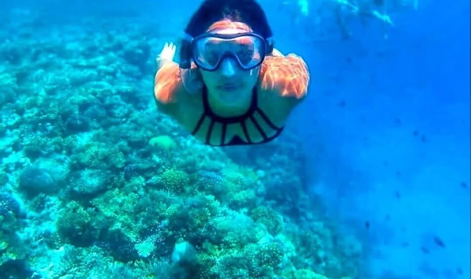 Snorkeler above a coral reef