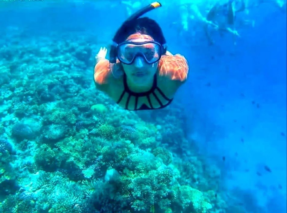 Visitor snorkeling above a Red Sea reef in a photograph from our album