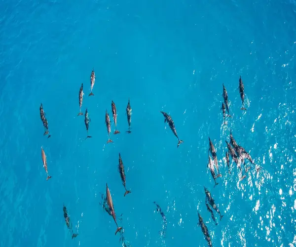 Best Time to Snorkel in Hurghada during cooler Red Sea months