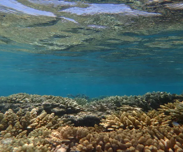 Snorkeling conditions in spring for Hurghada Weather by Month