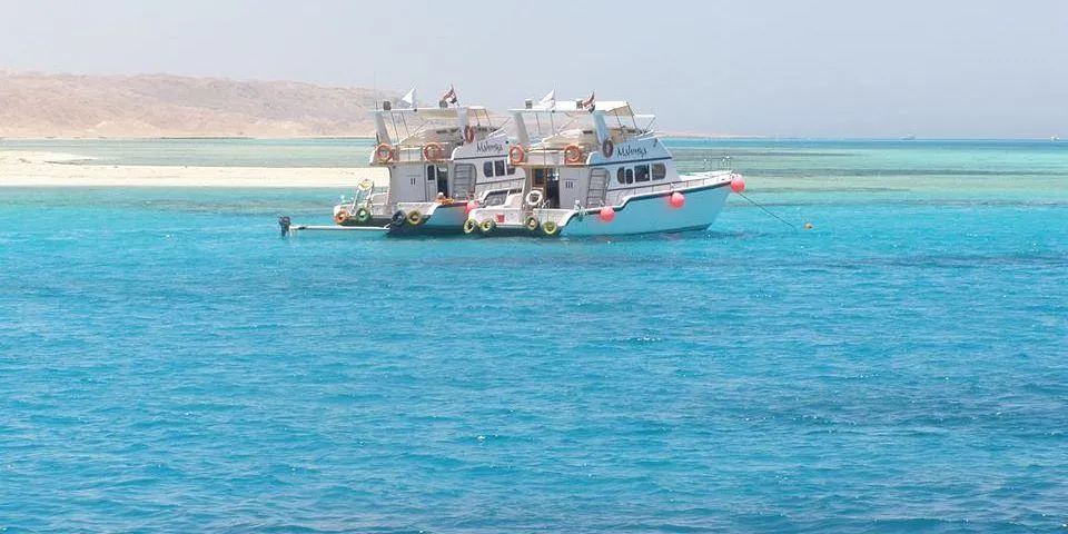 dolphin-house-snorkeling