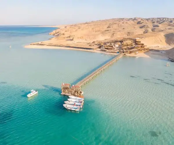 orange bay vs paradise island