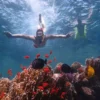 orange bay snorkeling trip hurghada