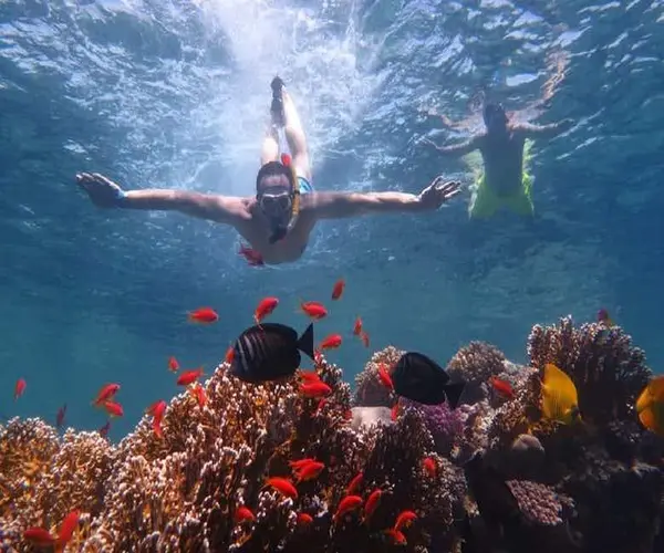 orange bay snorkeling trip hurghada