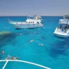 snorkeling in hurghada for beginners