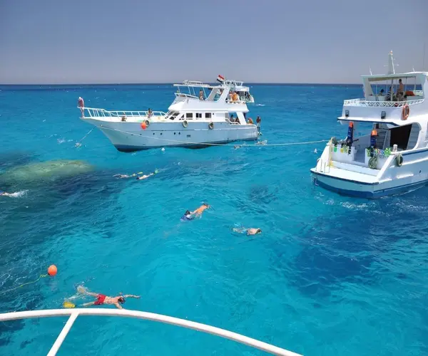 snorkeling in hurghada for beginners