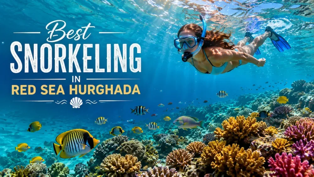 best-snorkeling-in-red-sea-hurghada