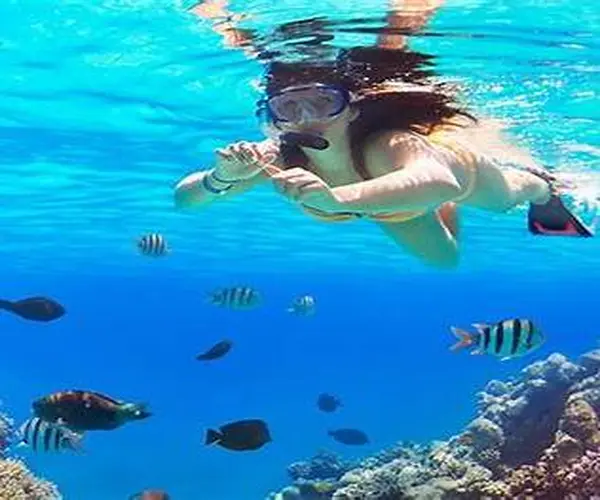 snorkeling in hurghada for beginners