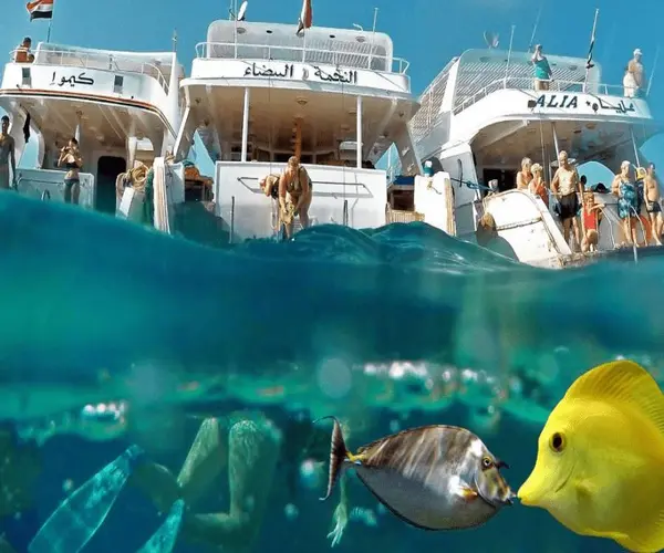 hurghada snorkeling tour