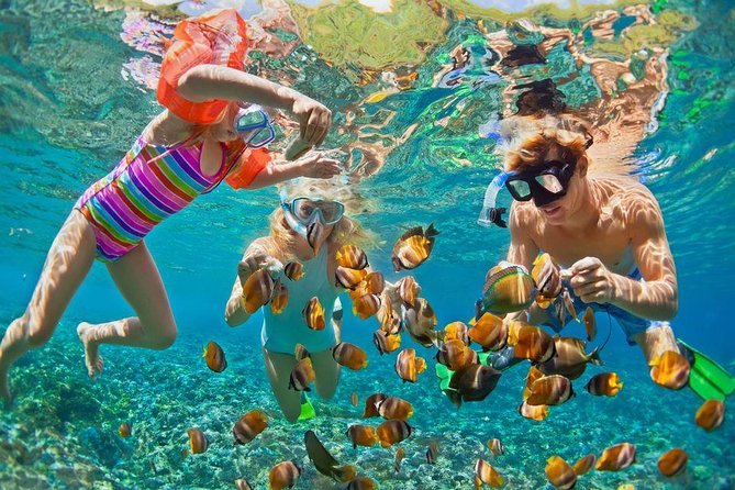 Orange Bay snorkeling during Hurghada Weather in December