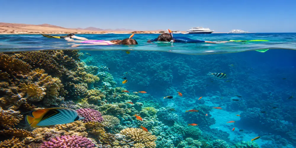 hurghada snorkeling spots