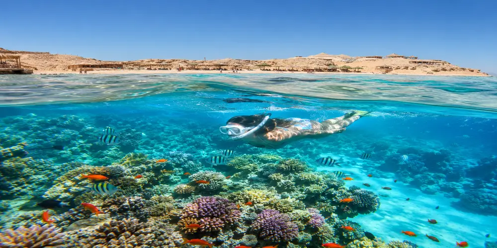 orange bay hurghada snorkeling