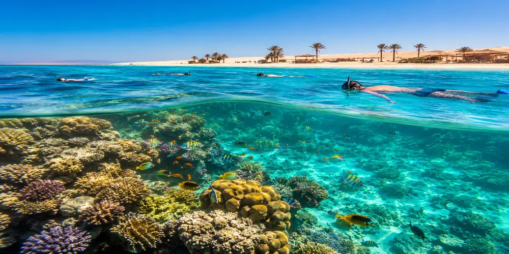 giftun island hurghada snorkeling
