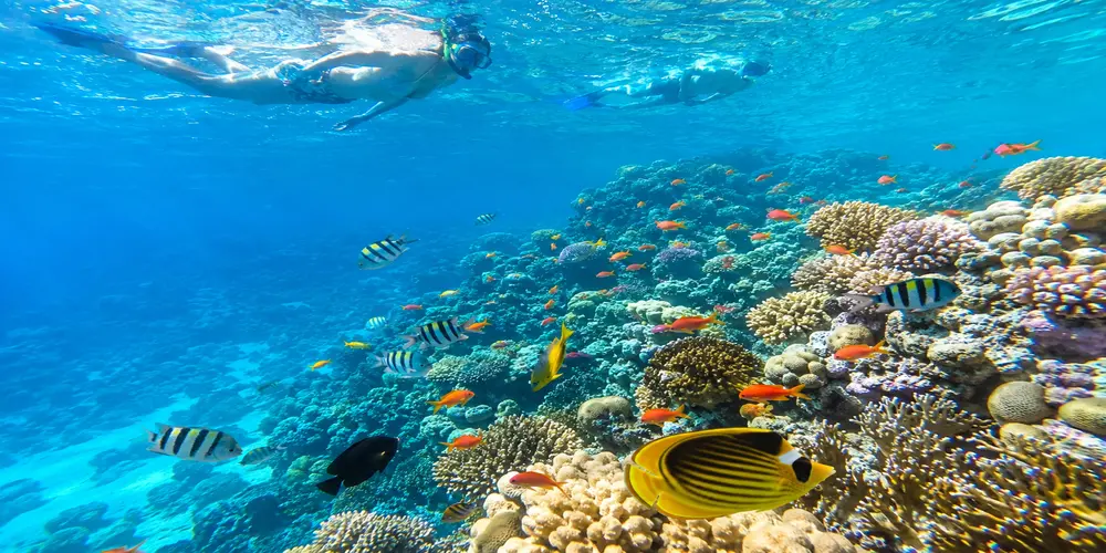 giftun island hurghada snorkeling